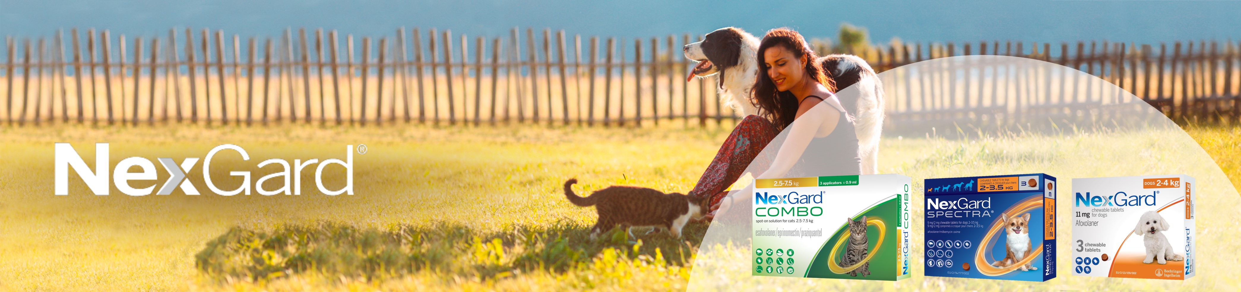 NexGard The Trusted Parasites Treatment For Pets
